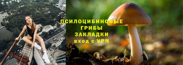 винт Бронницы