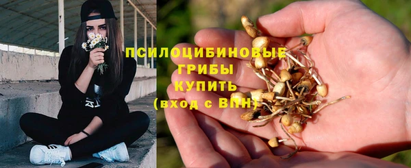 mix Бородино